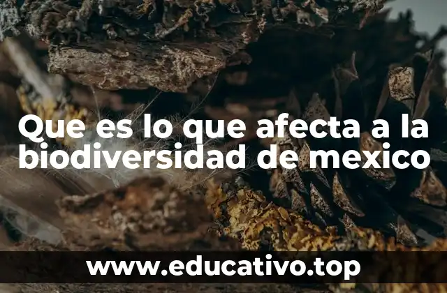 Que es lo que afecta a la biodiversidad de mexico