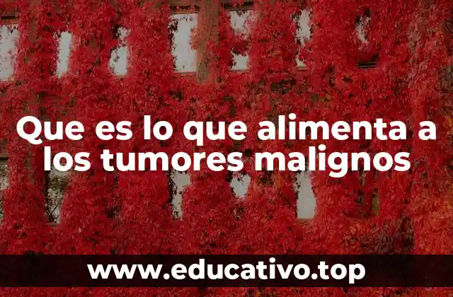 Que es lo que alimenta a los tumores malignos