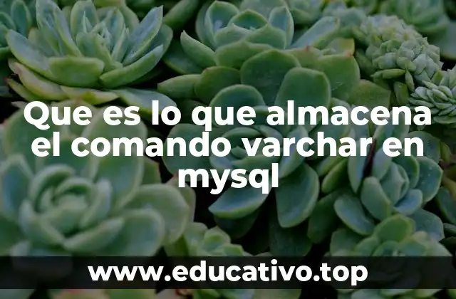 Que es lo que almacena el comando varchar en mysql