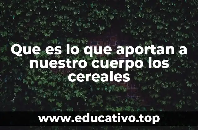 Que es lo que aportan a nuestro cuerpo los cereales