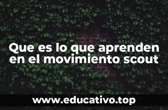 Que es lo que aprenden en el movimiento scout
