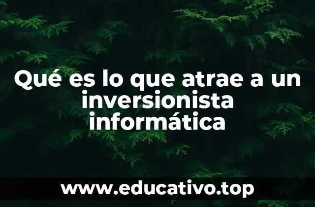 Qué es lo que atrae a un inversionista informática
