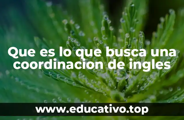 Que es lo que busca una coordinacion de ingles