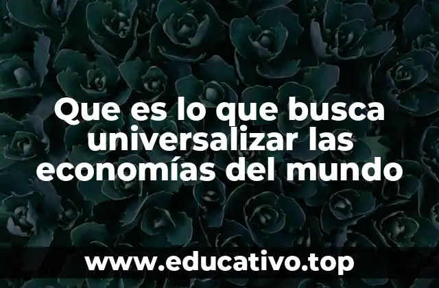 Que es lo que busca universalizar las economías del mundo