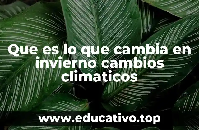 Que es lo que cambia en invierno cambios climaticos