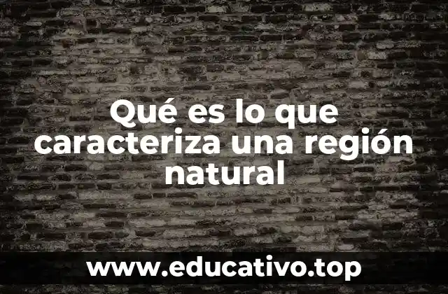 Qué es lo que caracteriza una región natural