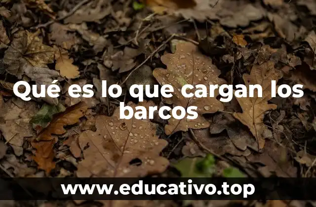 Qué es lo que cargan los barcos