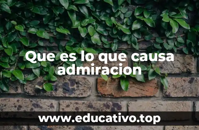Que es lo que causa admiracion