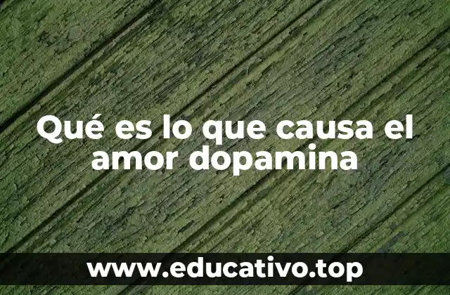 Qué es lo que causa el amor dopamina
