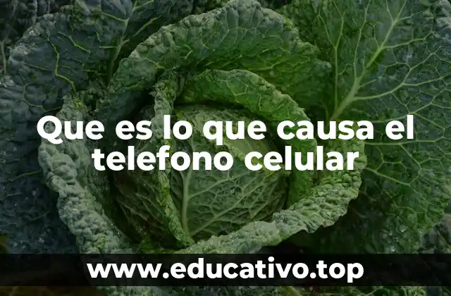 Que es lo que causa el telefono celular