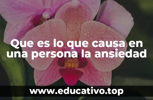 Que es lo que causa en una persona la ansiedad