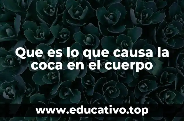 Que es lo que causa la coca en el cuerpo