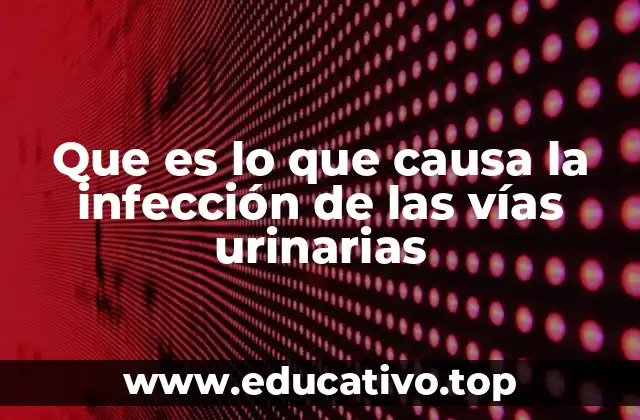 Que es lo que causa la infección de las vías urinarias
