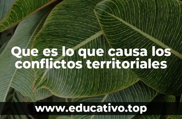 Que es lo que causa los conflictos territoriales