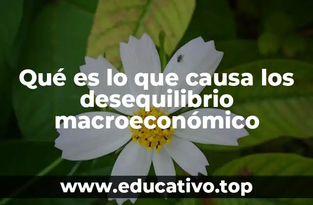 Qué es lo que causa los desequilibrio macroeconómico