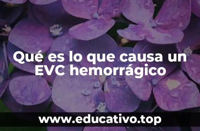 Qué es lo que causa un EVC hemorrágico