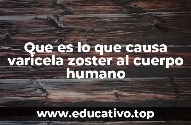 Que es lo que causa varicela zoster al cuerpo humano