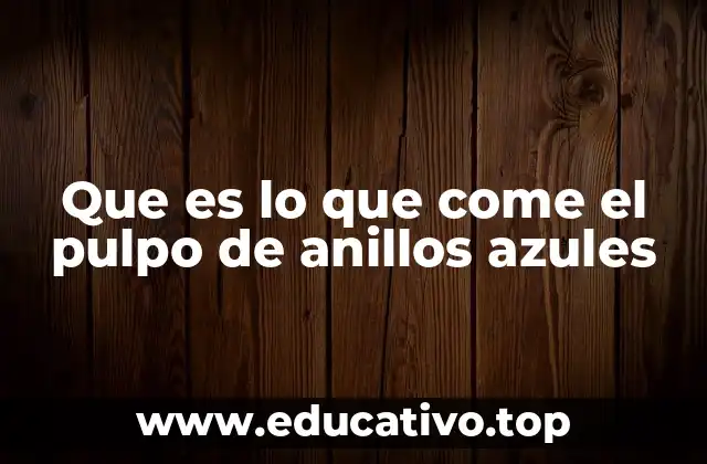 Que es lo que come el pulpo de anillos azules