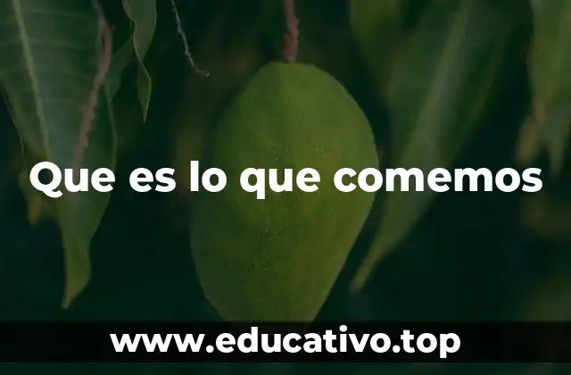 Que es lo que comemos
