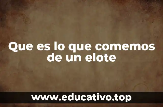Que es lo que comemos de un elote