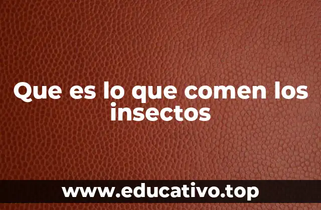 Que es lo que comen los insectos
