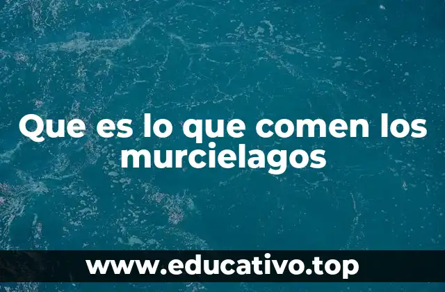 Que es lo que comen los murcielagos