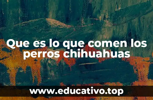 Que es lo que comen los perros chihuahuas
