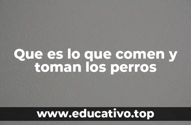 Que es lo que comen y toman los perros