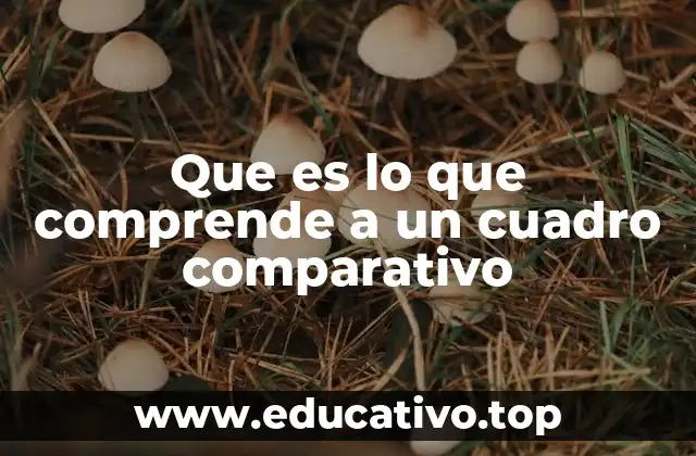 Que es lo que comprende a un cuadro comparativo