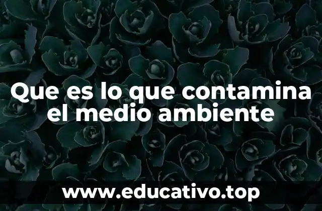 Que es lo que contamina el medio ambiente