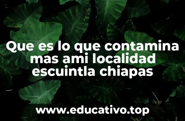 Que es lo que contamina mas ami localidad escuintla chiapas