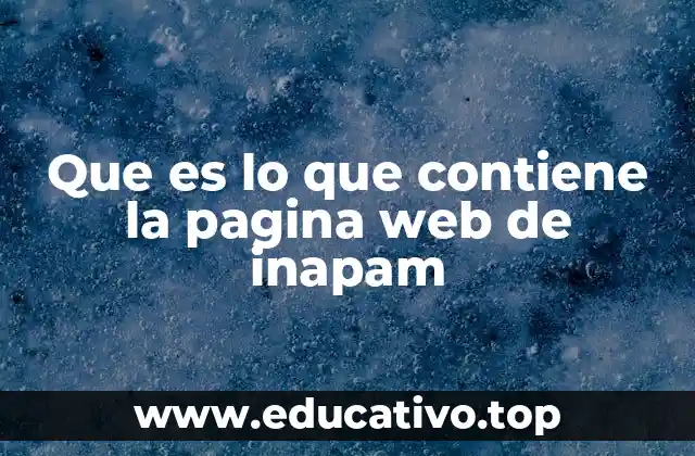 Que es lo que contiene la pagina web de inapam