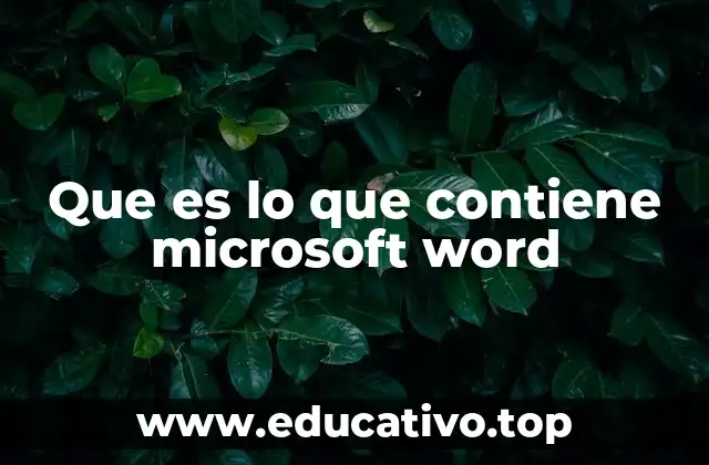 Que es lo que contiene microsoft word