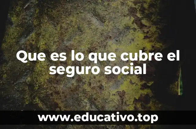 Que es lo que cubre el seguro social
