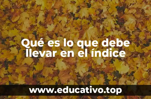 Qué es lo que debe llevar en el índice