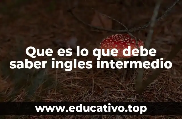 Que es lo que debe saber ingles intermedio