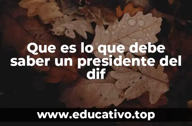 Que es lo que debe saber un presidente del dif