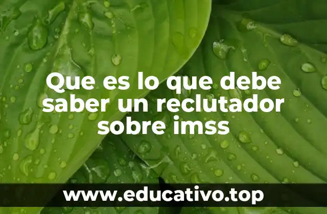 Que es lo que debe saber un reclutador sobre imss
