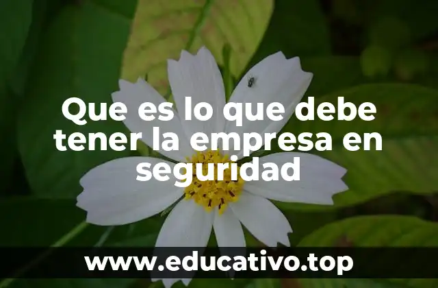 La base de una estrategia de seguridad empresarial