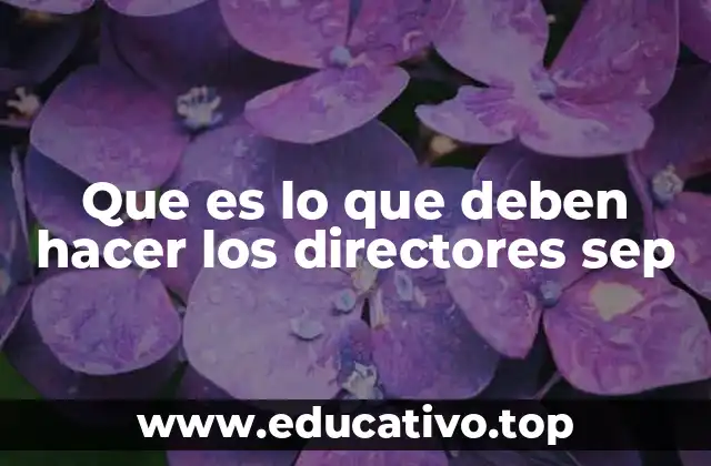 Que es lo que deben hacer los directores sep