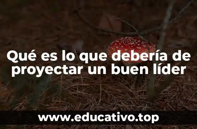 Qué es lo que debería de proyectar un buen líder