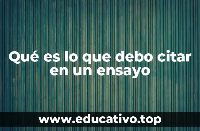 Qué es lo que debo citar en un ensayo
