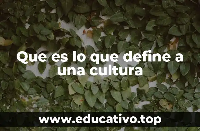 Que es lo que define a una cultura