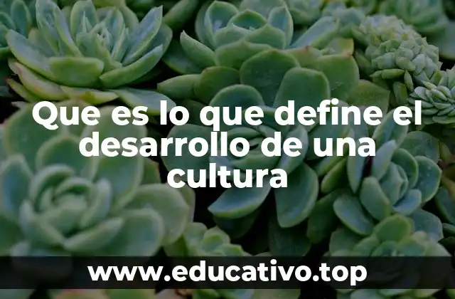 Que es lo que define el desarrollo de una cultura