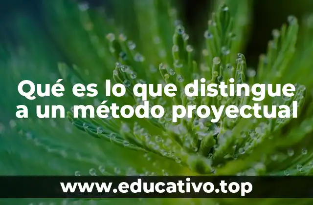 Qué es lo que distingue a un método proyectual