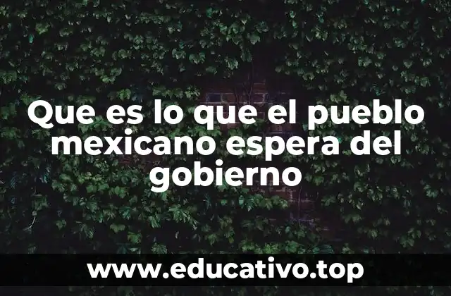 Que es lo que el pueblo mexicano espera del gobierno