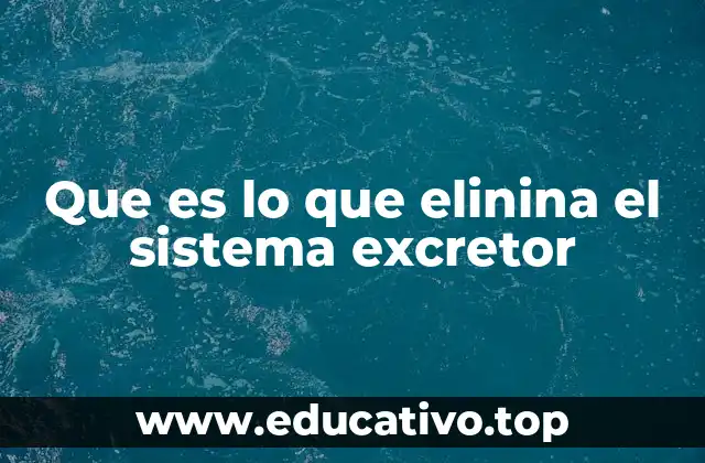Que es lo que elinina el sistema excretor
