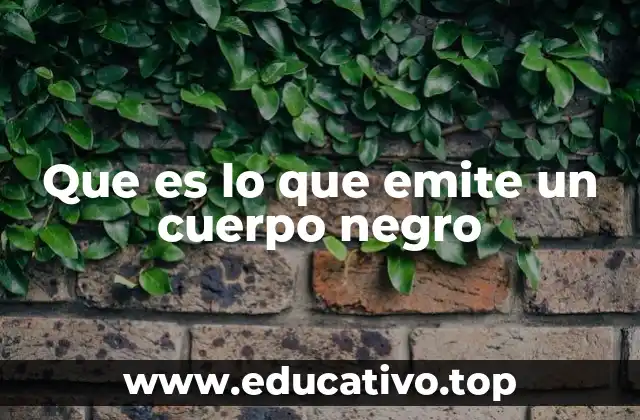 Que es lo que emite un cuerpo negro