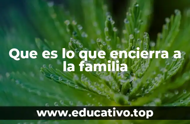 Que es lo que encierra a la familia