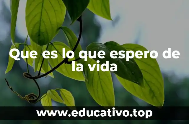 El viaje hacia el propósito personal